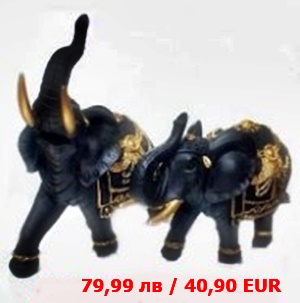 Двойка черни слонове Двойка черни слонове